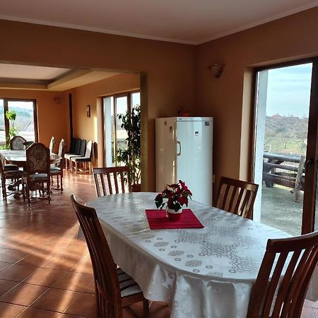 Vis Pension Viile Satu Mare Luaran gambar