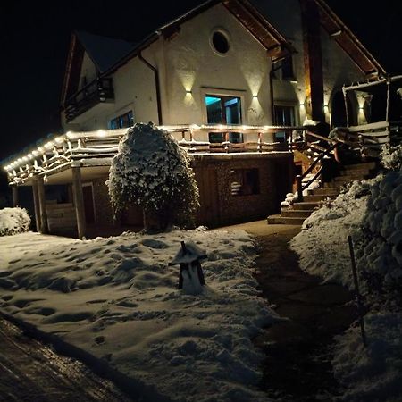Vis Pension Viile Satu Mare Luaran gambar