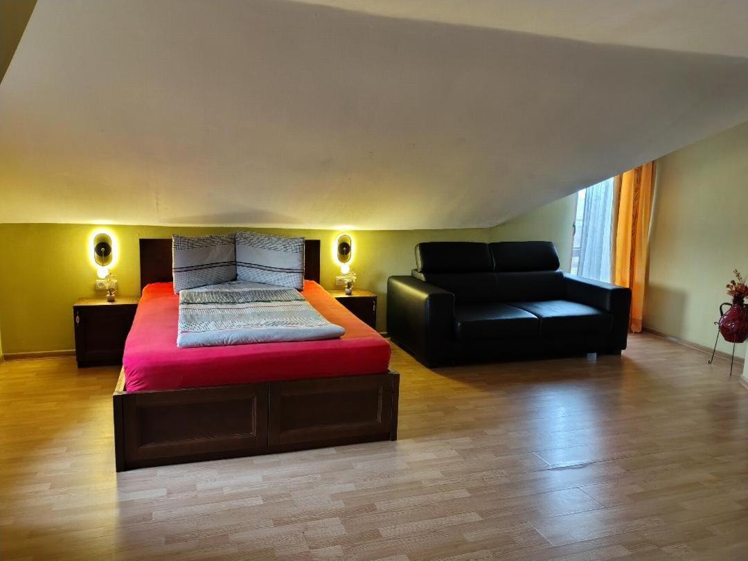 Vis Pension Viile Satu Mare Luaran gambar