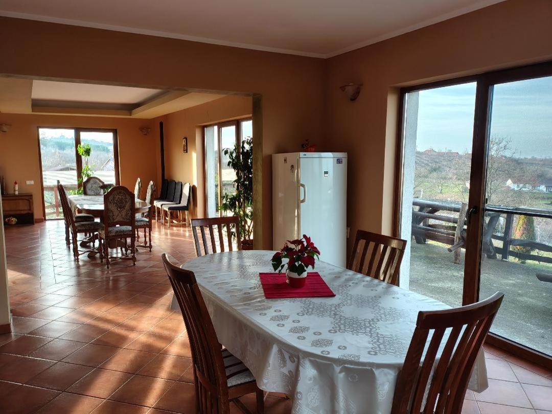 Vis Pension Viile Satu Mare Luaran gambar