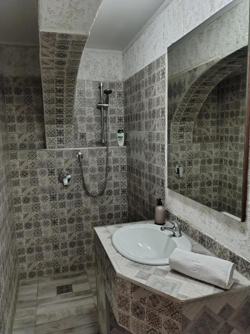Vis Pension Viile Satu Mare Luaran gambar