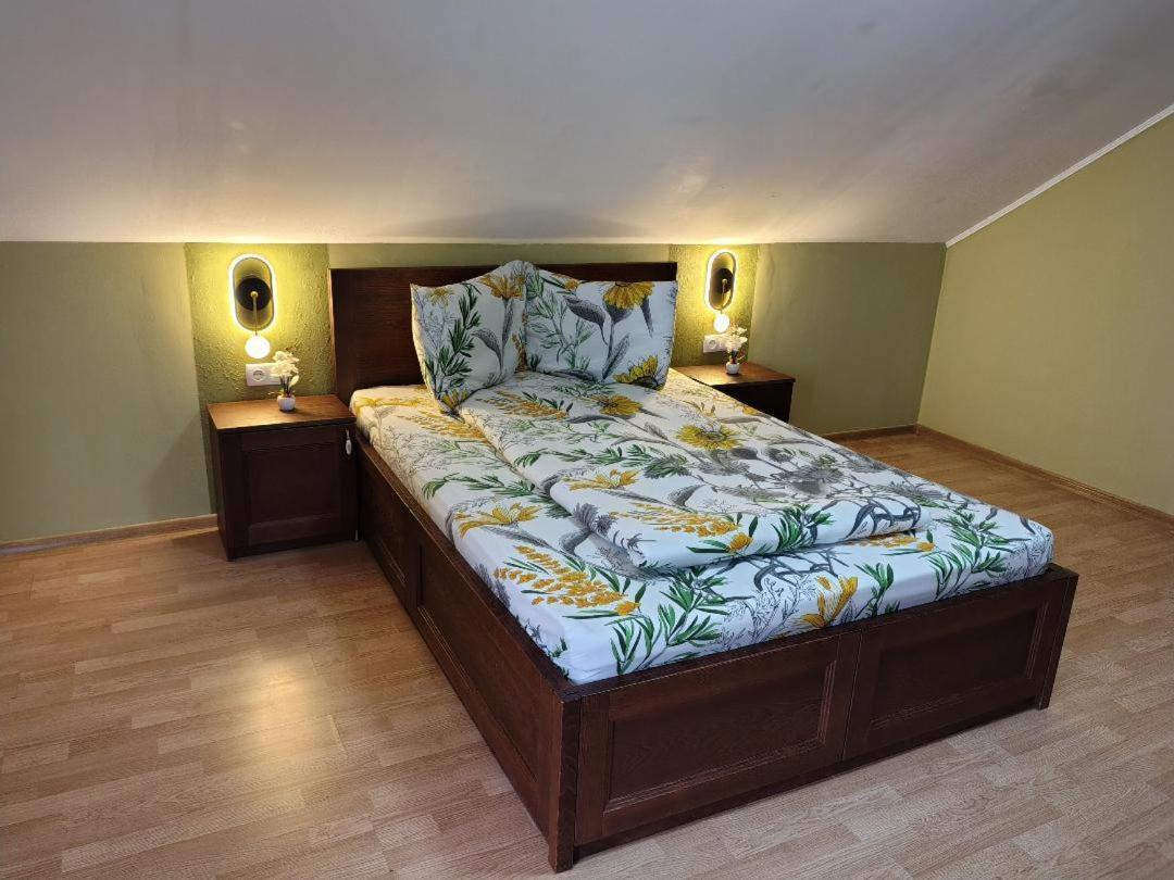 Vis Pension Viile Satu Mare Luaran gambar