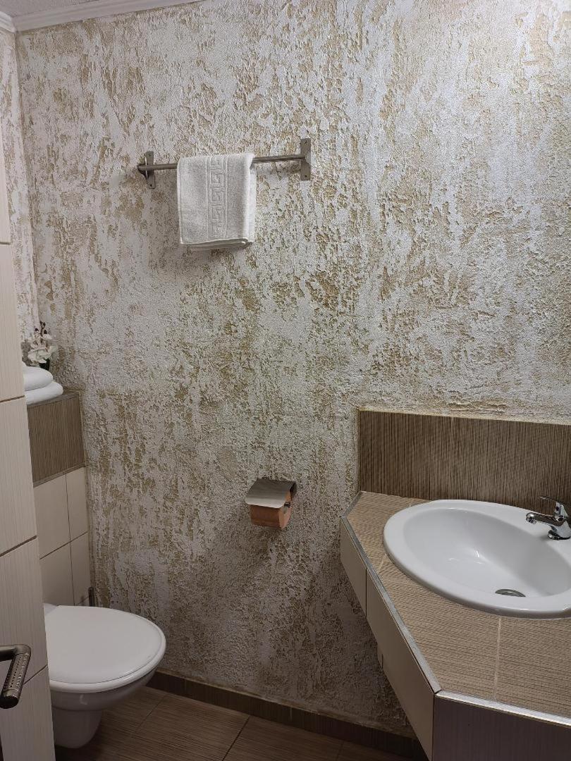 Vis Pension Viile Satu Mare Luaran gambar