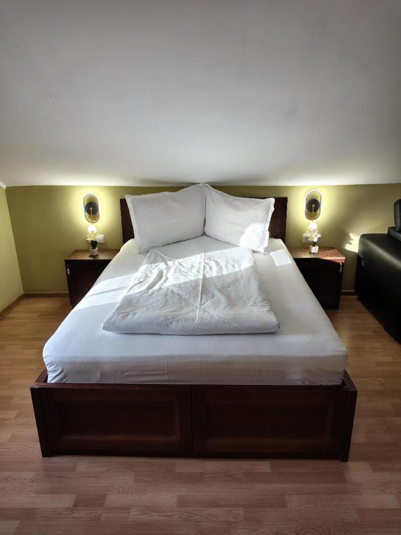 Vis Pension Viile Satu Mare Luaran gambar