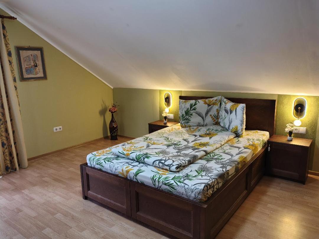 Vis Pension Viile Satu Mare Luaran gambar