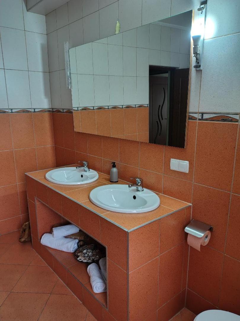 Vis Pension Viile Satu Mare Luaran gambar