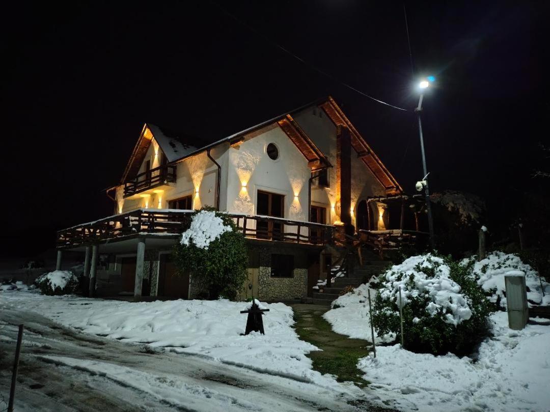 Vis Pension Viile Satu Mare Luaran gambar
