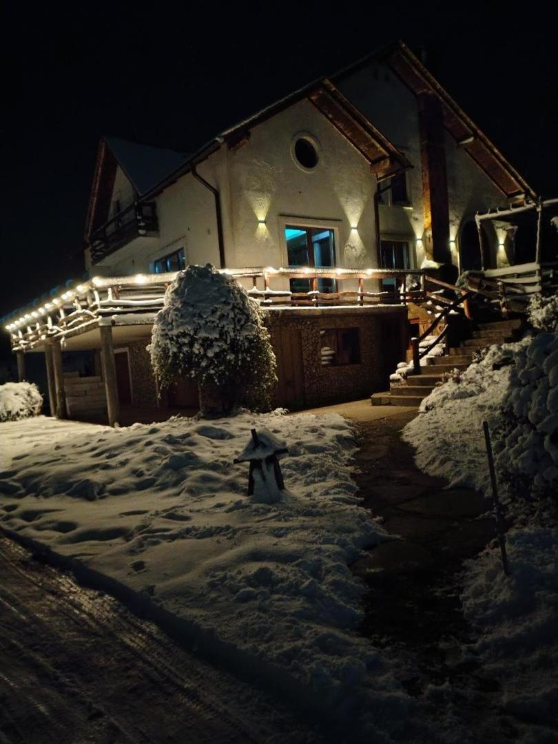Vis Pension Viile Satu Mare Luaran gambar