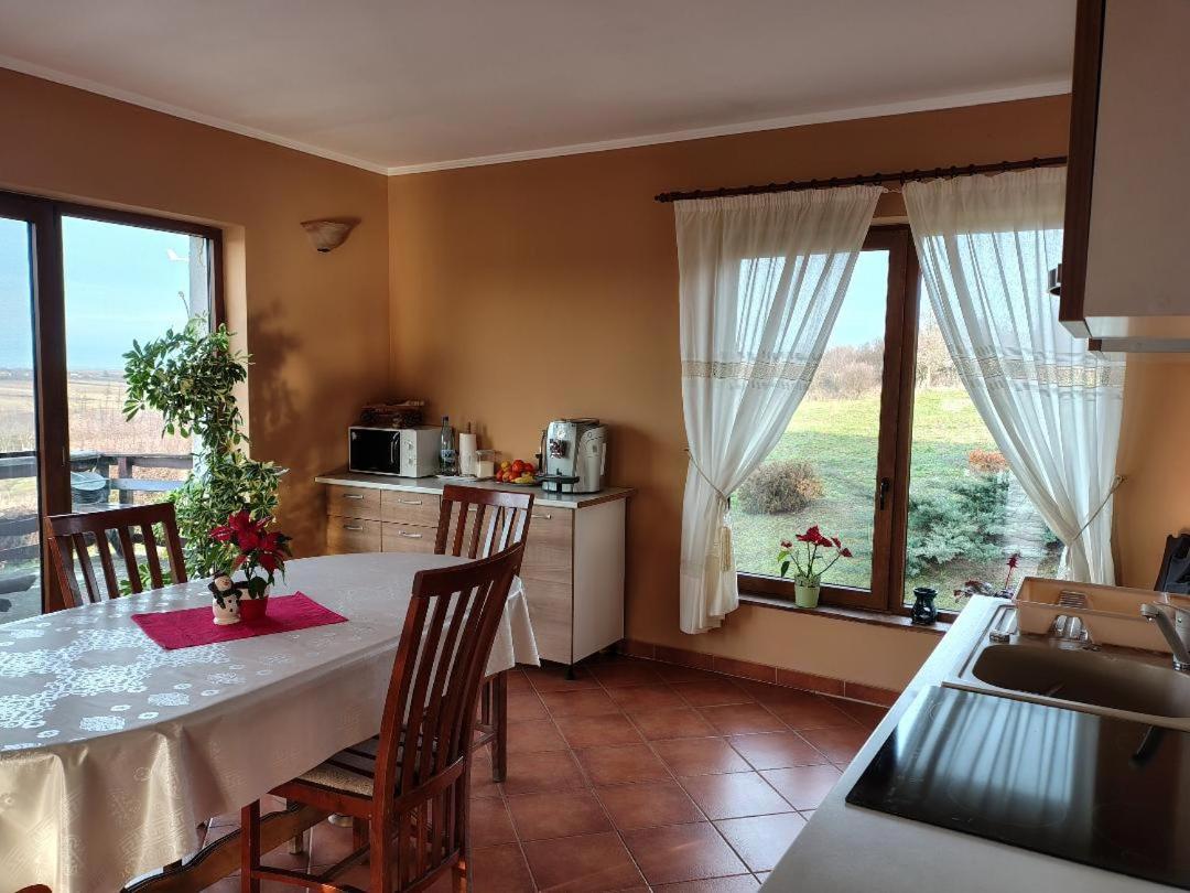 Vis Pension Viile Satu Mare Luaran gambar