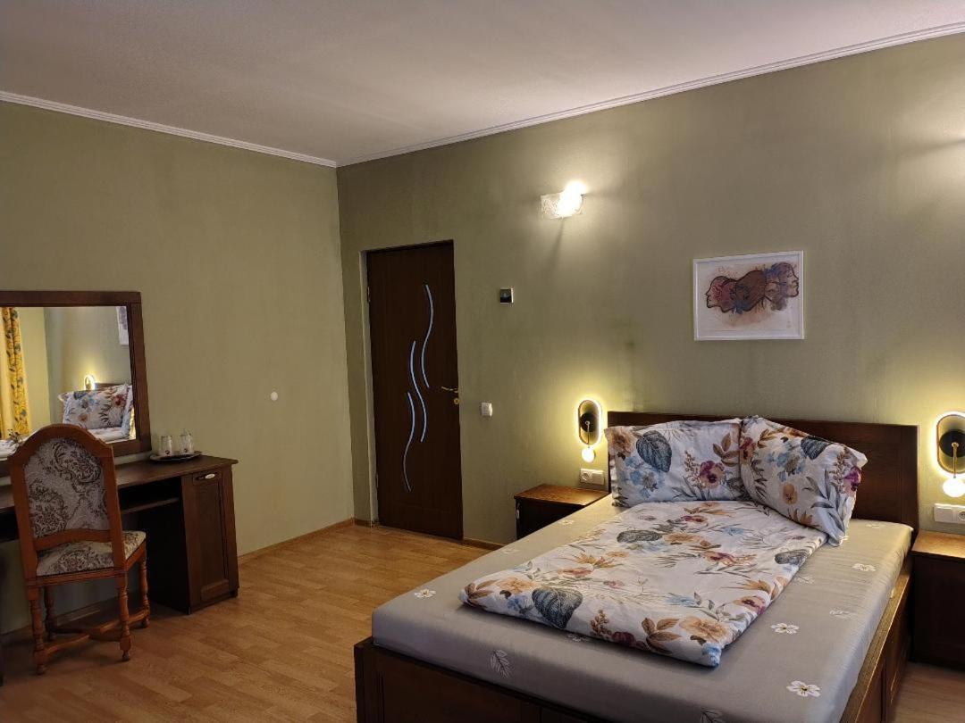 Vis Pension Viile Satu Mare Luaran gambar