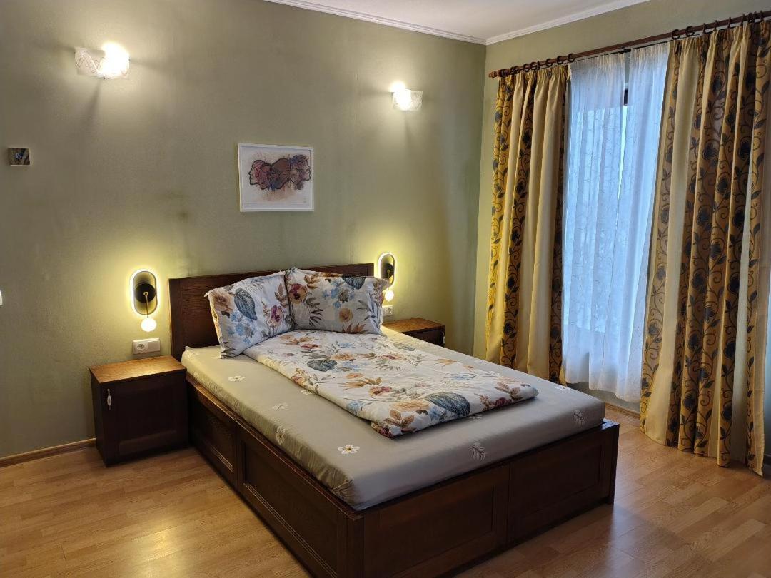 Vis Pension Viile Satu Mare Luaran gambar