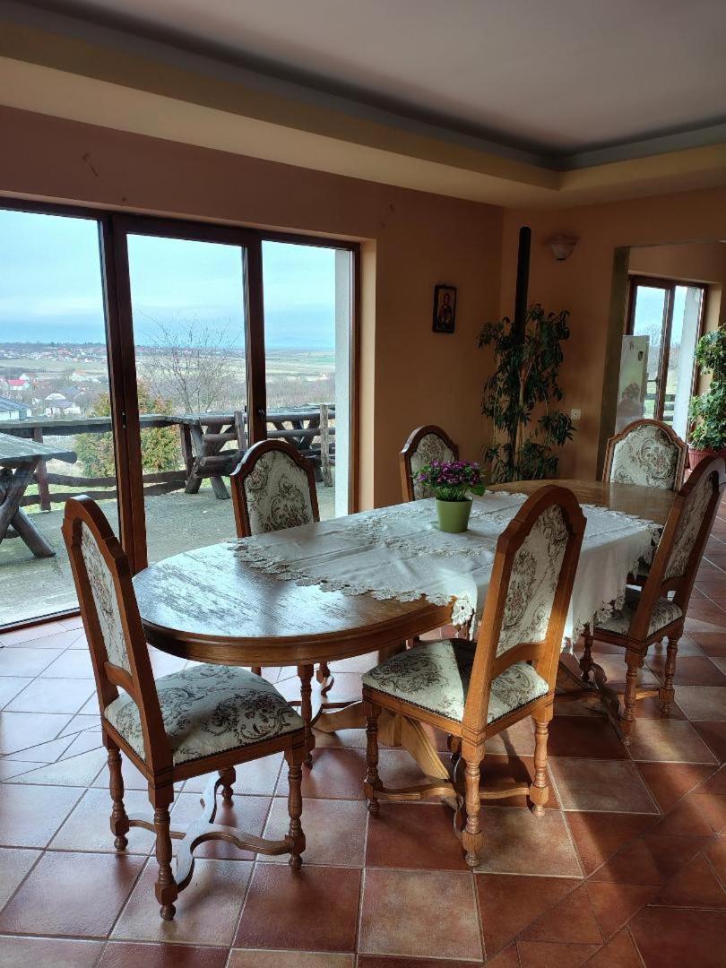 Vis Pension Viile Satu Mare Luaran gambar