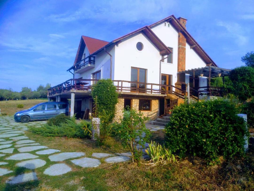 Vis Pension Viile Satu Mare Luaran gambar