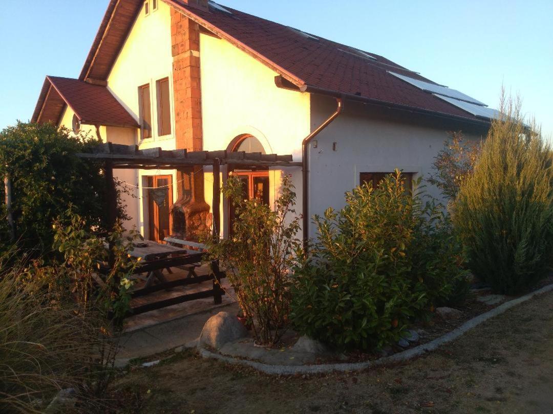 Vis Pension Viile Satu Mare Luaran gambar