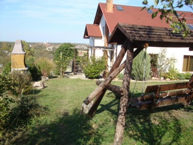 Vis Pension Viile Satu Mare Luaran gambar