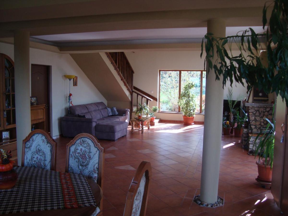 Vis Pension Viile Satu Mare Luaran gambar