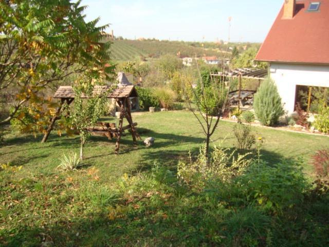 Vis Pension Viile Satu Mare Luaran gambar