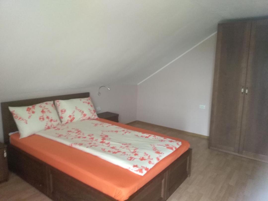 Vis Pension Viile Satu Mare Luaran gambar