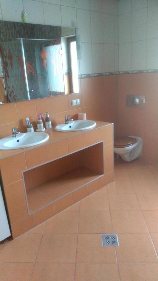 Vis Pension Viile Satu Mare Luaran gambar