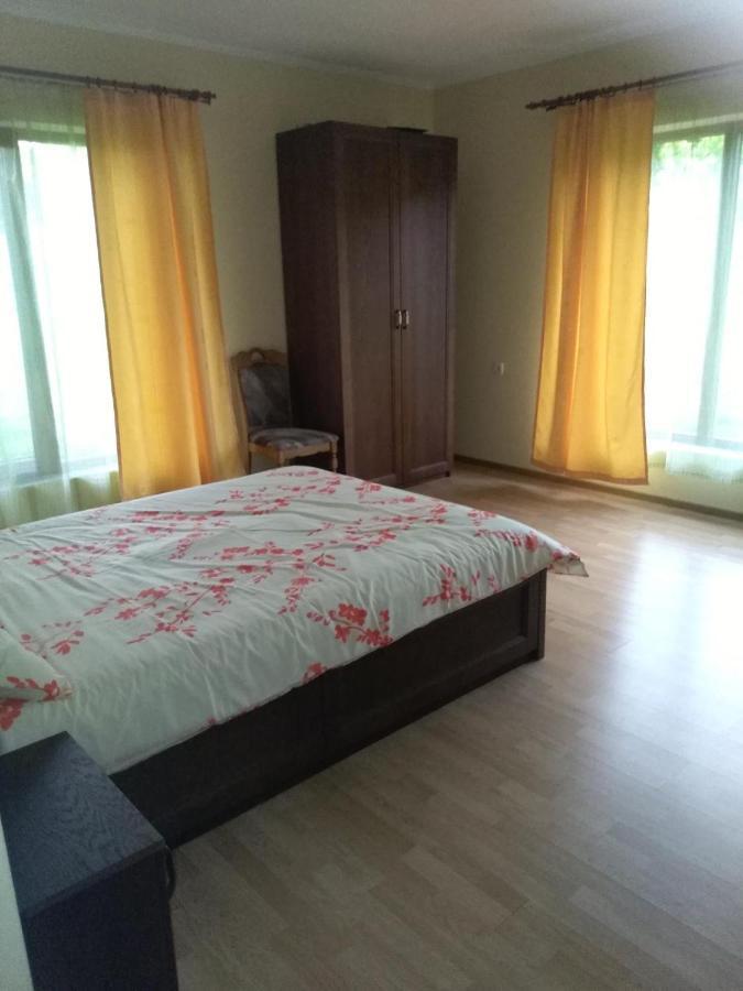 Vis Pension Viile Satu Mare Luaran gambar