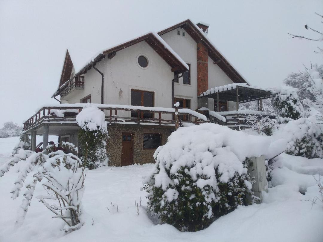 Vis Pension Viile Satu Mare Luaran gambar