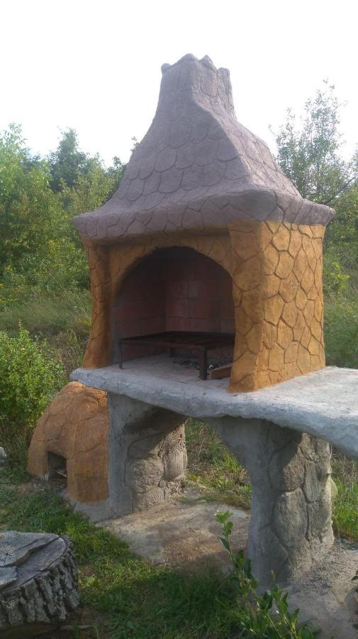 Vis Pension Viile Satu Mare Luaran gambar