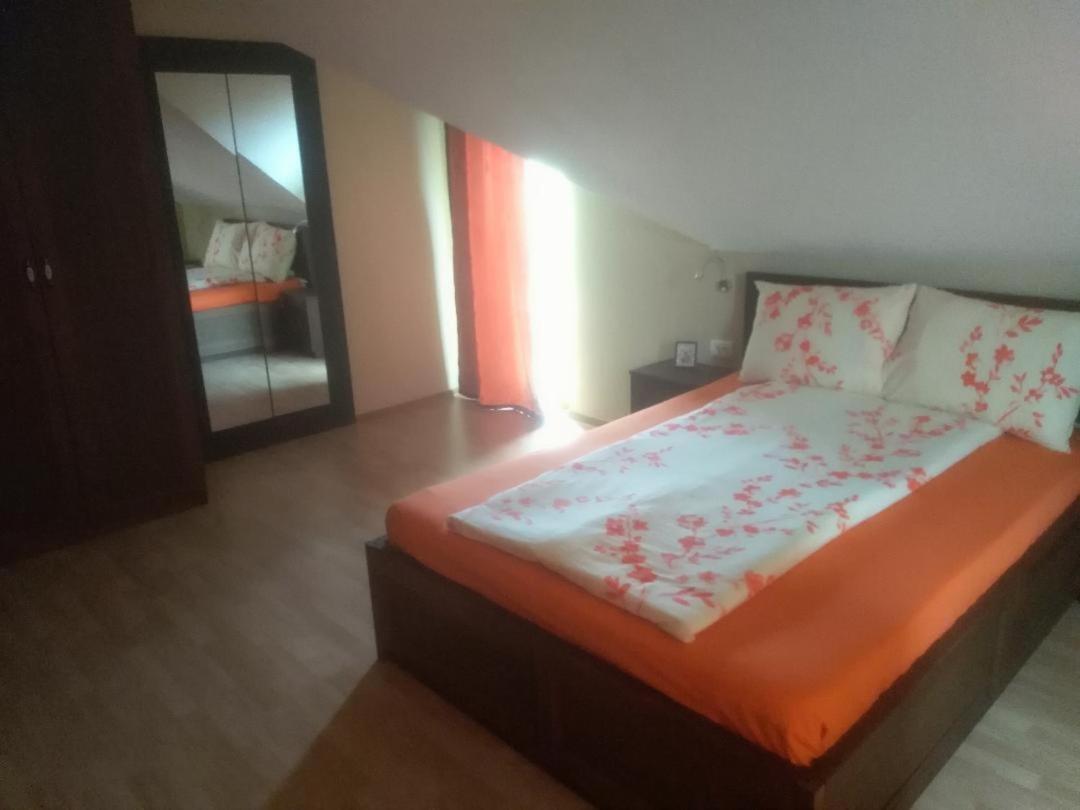 Vis Pension Viile Satu Mare Luaran gambar