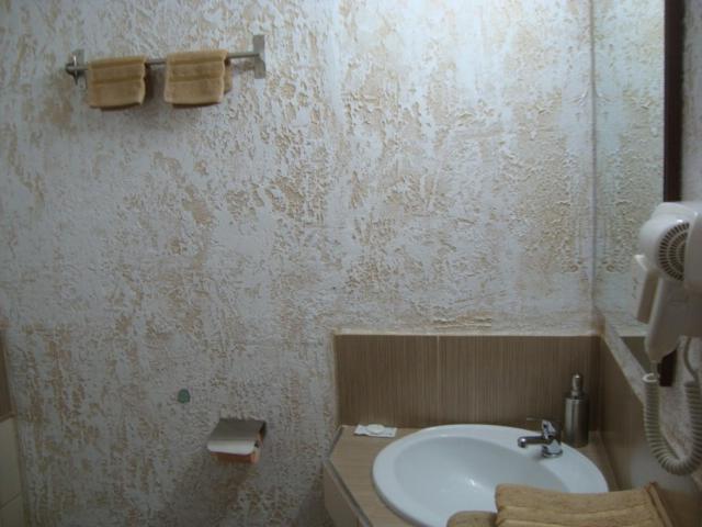 Vis Pension Viile Satu Mare Luaran gambar