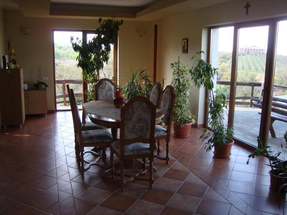 Vis Pension Viile Satu Mare Luaran gambar