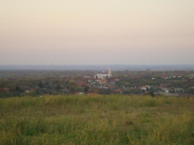 Vis Pension Viile Satu Mare Luaran gambar